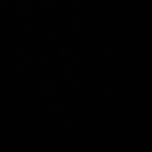 Meet your Posher, Sabrina